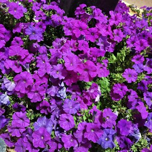 《藏在心底之爱》