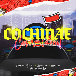 Cochinae (Remix Cumbiaton)