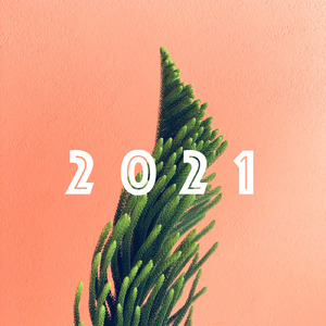 人生、踊らにゃ