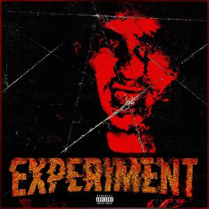 EXPERIMENT