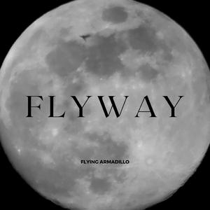 Flyway