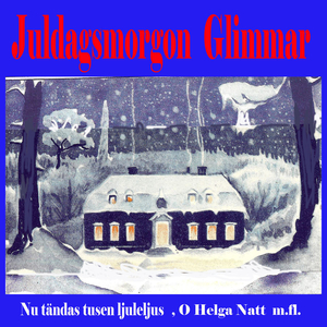 Tomtarnas julnatt