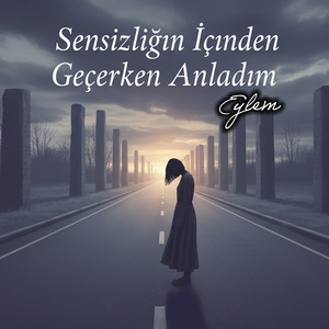 Sensizliğin İçinden Geçerken