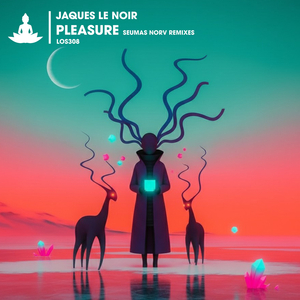 Pleasure (Seumas Norv Remix)
