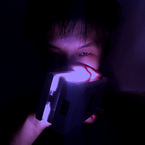 A monthly income of one million is my life