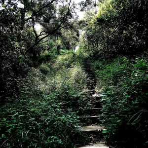 【FREE】 Dim /Trap beat (prod by.671)