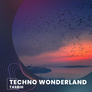 Techno Wonderland (Radio)