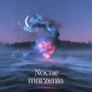 Nocne marzenia
