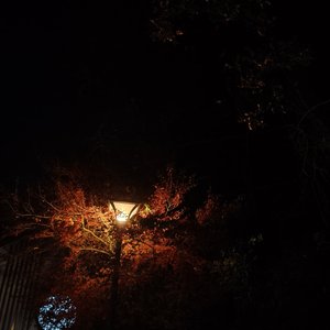 把末日谣言当成结婚誓言