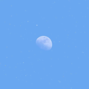 向上