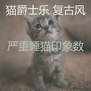 优美小猫器乐