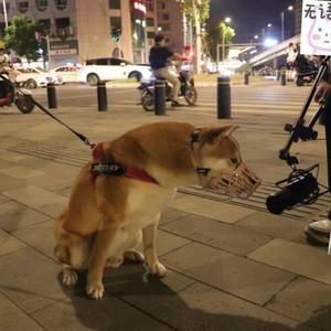 “录音5分钟的Newwave”