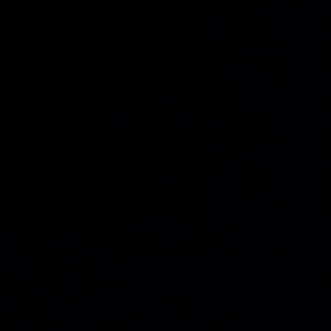 试音1