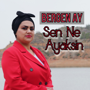 Sen Ne Ayaksın