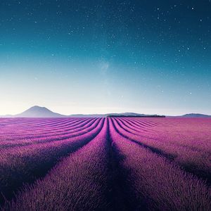 528HZ冥想频率 助眠脑波