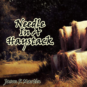 Needle in a Haystack