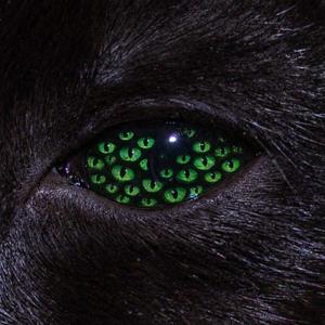 Woah (feat. S3nsi Molly)