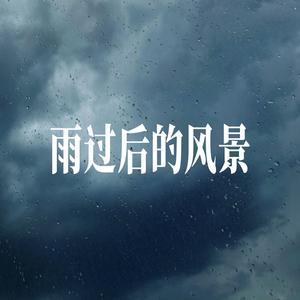 雨过后的风景(某年某月某个星期几) - 温柔男声