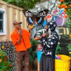 WikiLeaks (feat. ILOVEMAKONNEN)