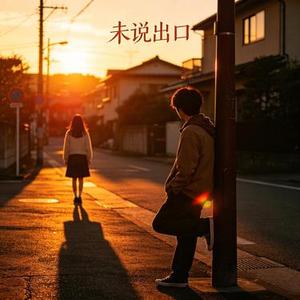 未说出口