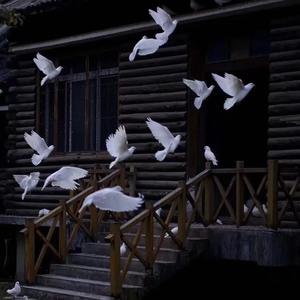 胭脂粉（翻唱）