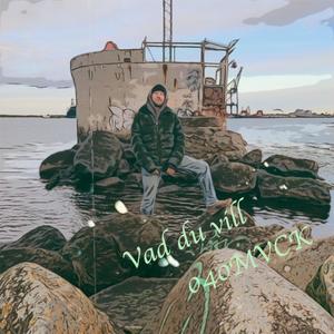 Vad du vill