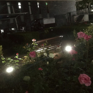 不怪她（Blame）