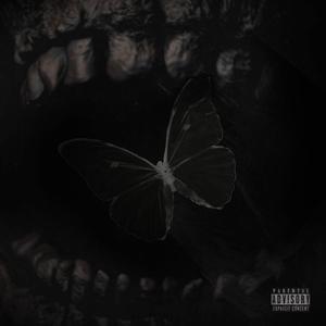 MONTANA (feat. SpookyVG)