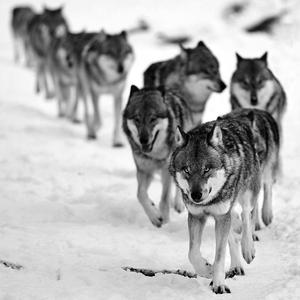 KELTEC (feat. Yudas)