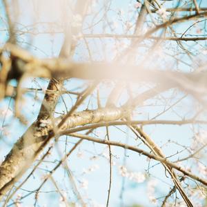 ピアノ・スケッチ (2026.3.27)