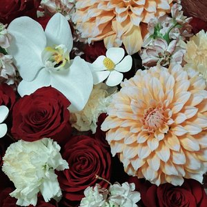 写给妈妈的一首歌