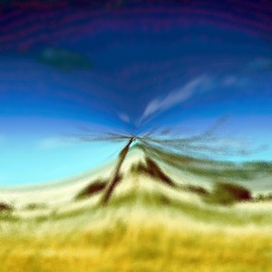 Gusts