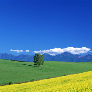 独自走在寂静的晚上-整曲