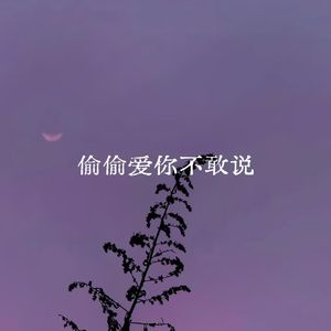偷偷爱你不敢说