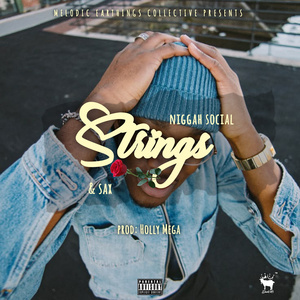 Strings