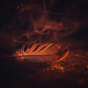 堕ちた羽、燃える夜に