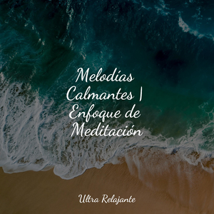 Perfección Después Del Anochecer