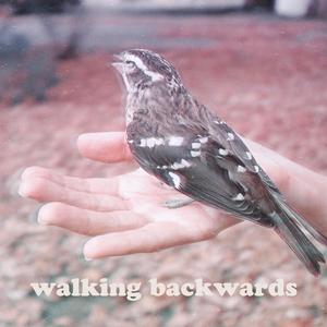 Walking Backwards