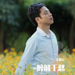 一醉只为解千愁