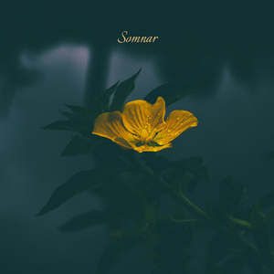 Somnar