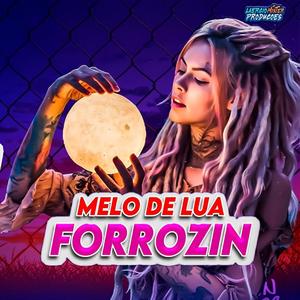 Forrozin Control (Melo de Lua) Dom Black Oficial (Remix)