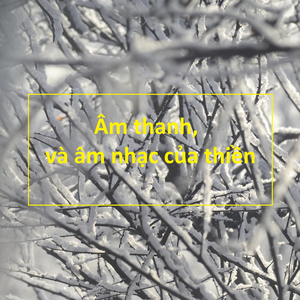 Bình tĩnh căng thẳng