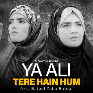 Ya Ali Tere Hain Hum (Lofi-Mix)