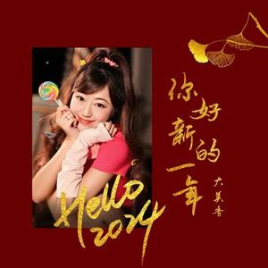 你好新的一年 (DJ版)