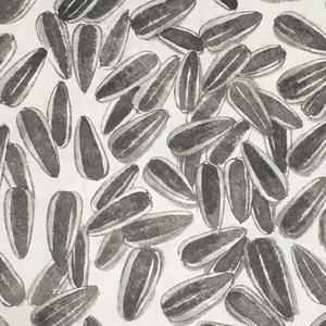 can't stop at all [disco edition]