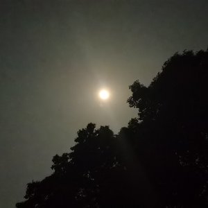 夜 （remix）（翻自 Chang）