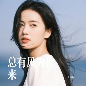 总有风为你来