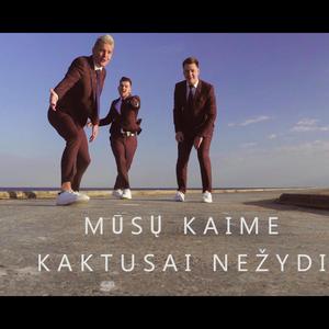Mūsų kaime kaktusai nežydi