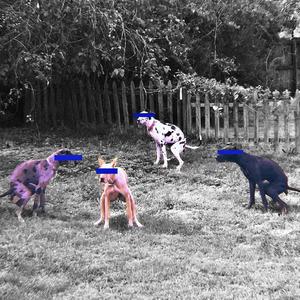 新新青年（DEMO）