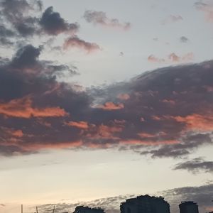 月光鹰与螺旋塔